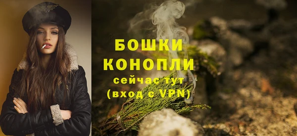 твердый Пересвет