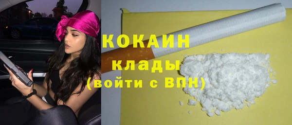 apvp Пестово