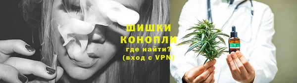 твердый Пересвет