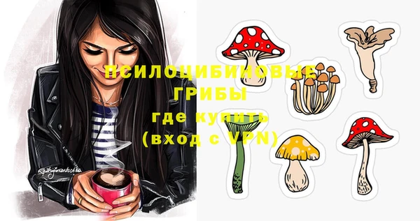 apvp Пестово