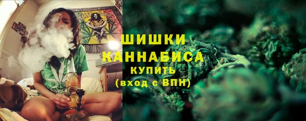 твердый Пересвет