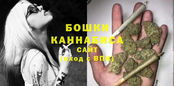 apvp Пестово