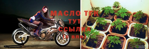 твердый Пересвет