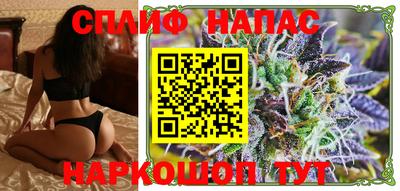 шишки Лесосибирск