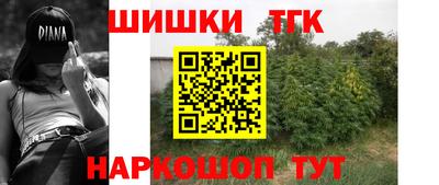 шишки Лесосибирск
