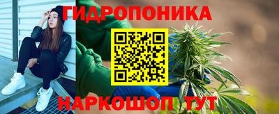 шишки Лесосибирск