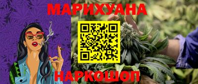 шишки Лесосибирск