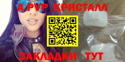 шишки Лесосибирск