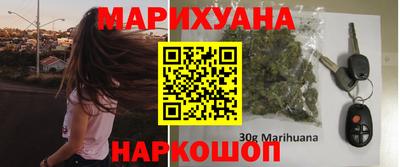 шишки Лесосибирск