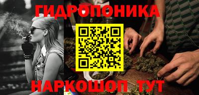 шишки Лесосибирск