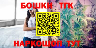 шишки Лесосибирск