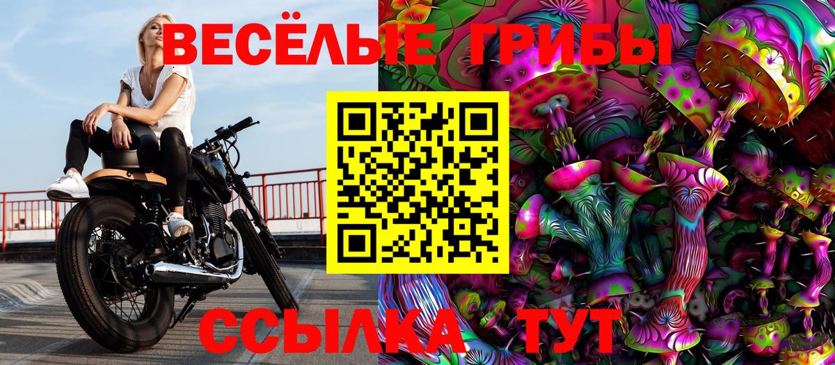 Галлюциногенные грибы Cubensis Сочи