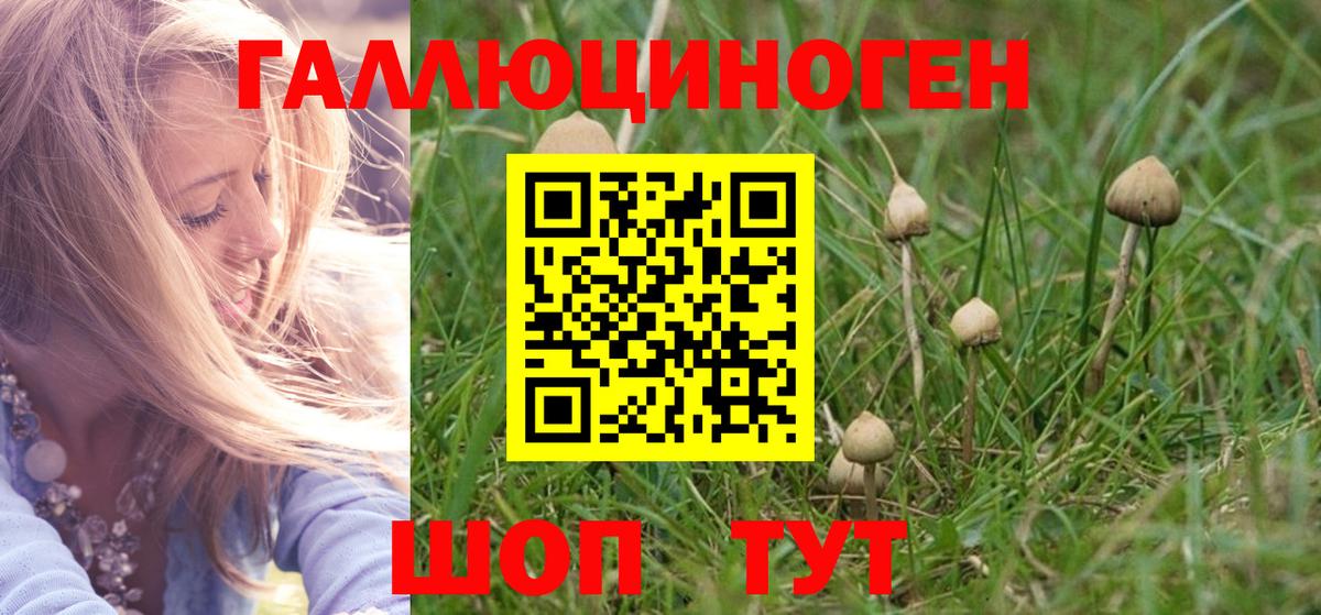 Сочи  купить наркоту  Вход с VPN  Псилоцибиновые грибы ЛСД 